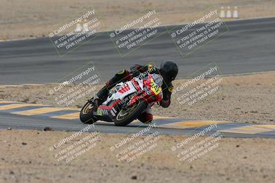 media/Jan-20-2024-CVMA (Sat) [[ddb8bc1f3d]]/Race 2 Amateur Formula Open/